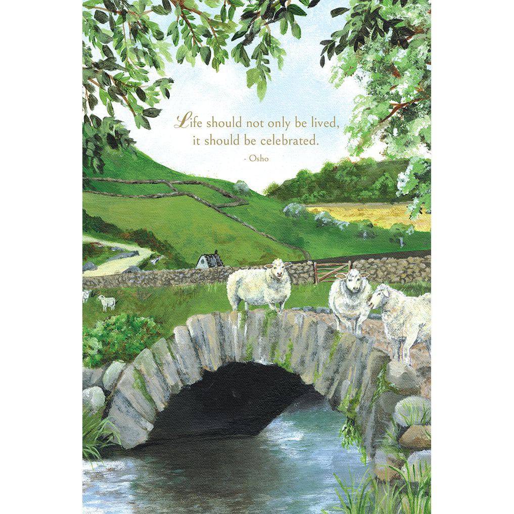 Cute sheep birthday card from Pictura, featuring a whimsical sheep illustration on an everyday greeting card.